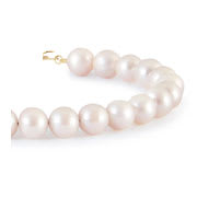 Akoya Cultured Pearl Bracelets