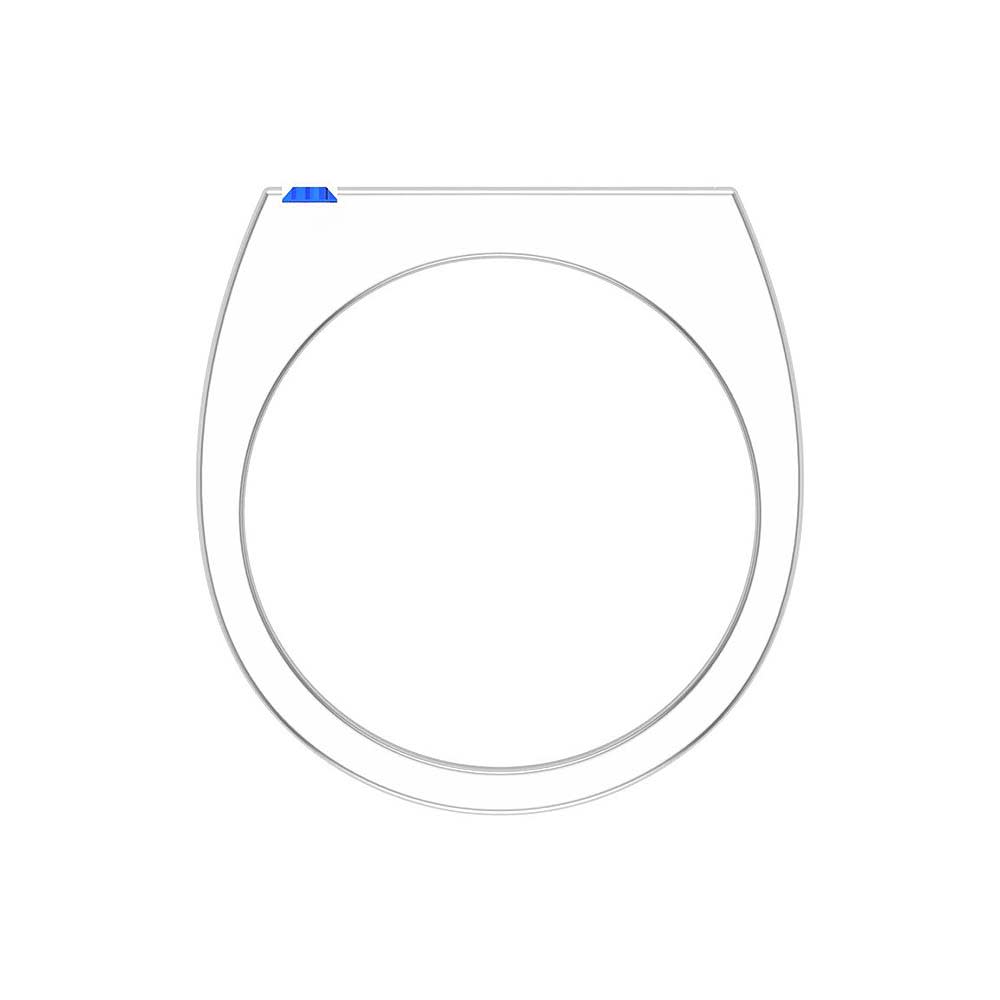 Ceylon Baggette Sapphire Gents ring