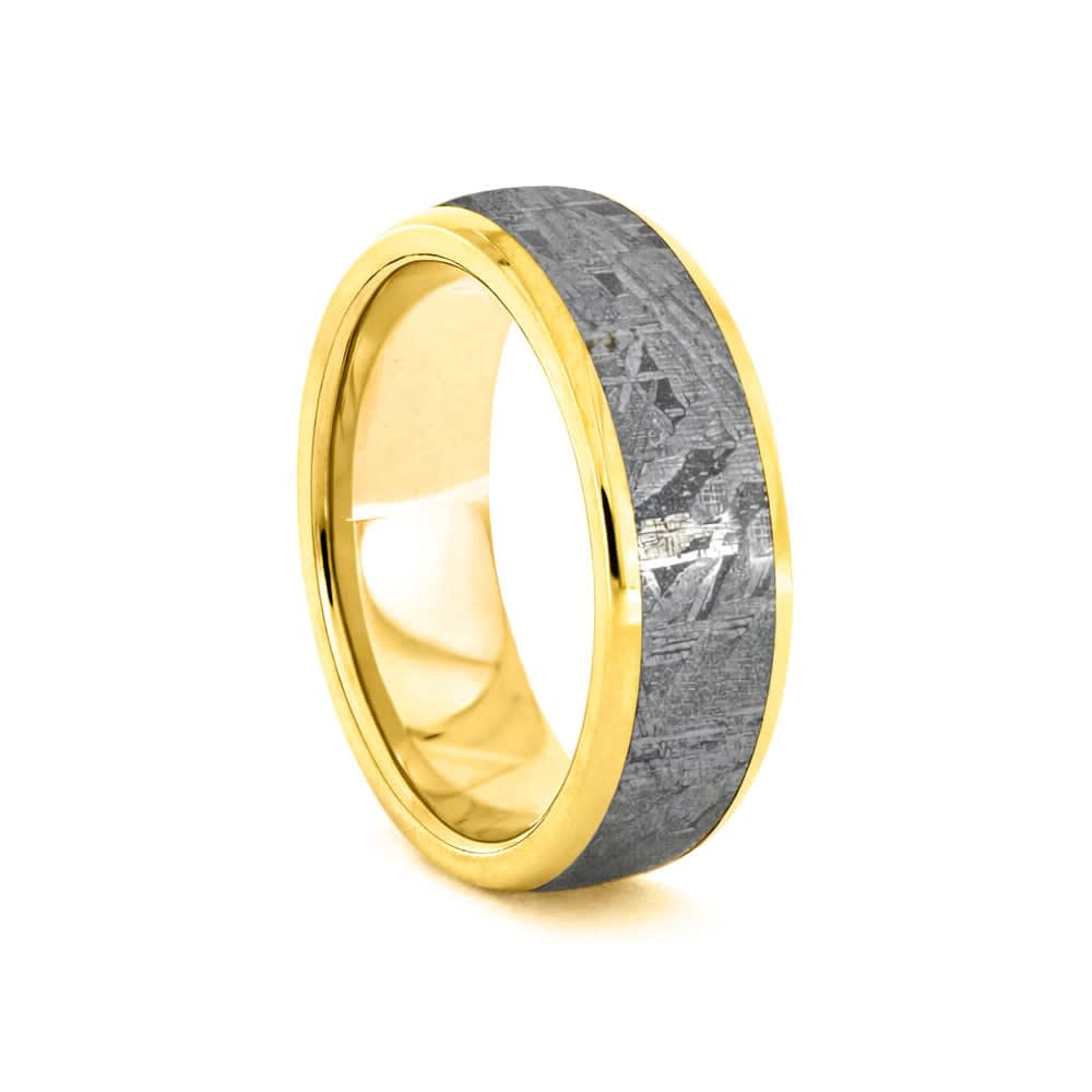 Gibeon Meteorite in Gold