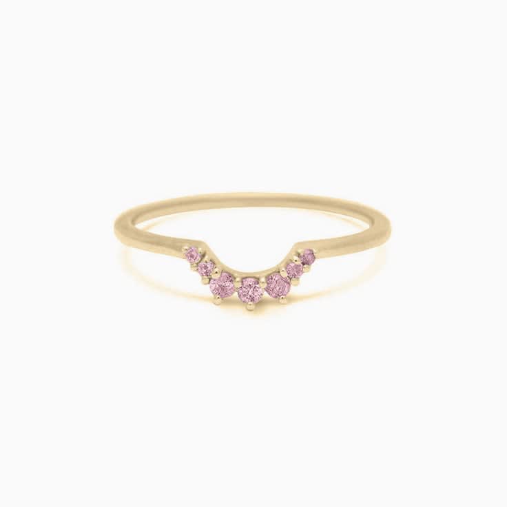 Petite Pink Lab Tiara Band