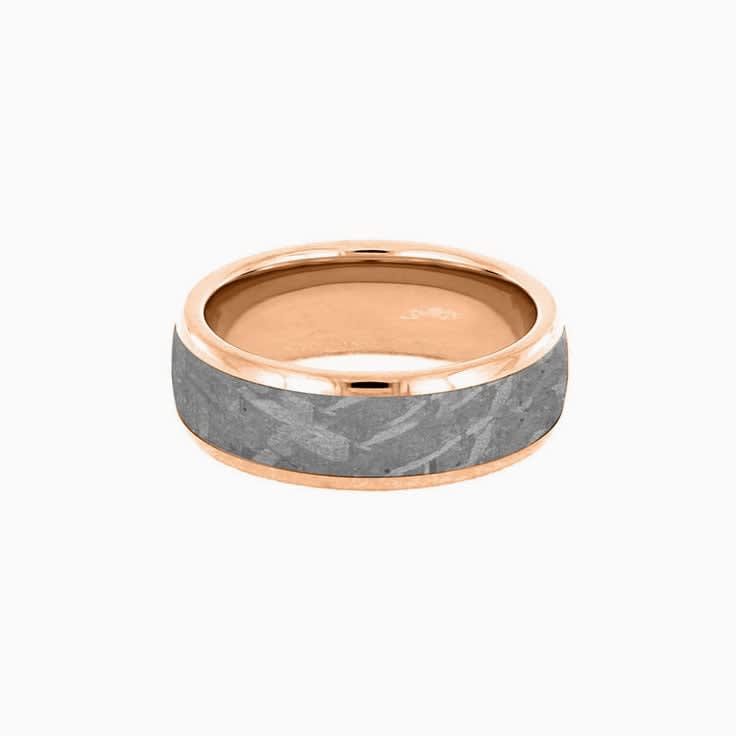Gibeon Meteorite in Gold