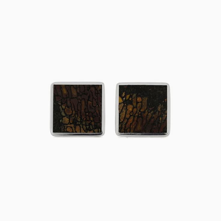 genuine dinosaur bone cufflinks