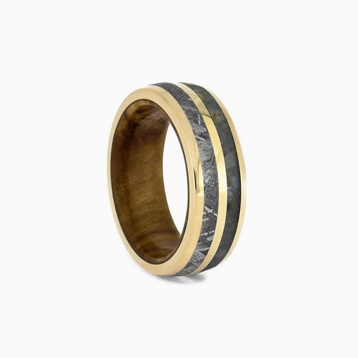 Dinosaur Bone Meteorite and gold ring