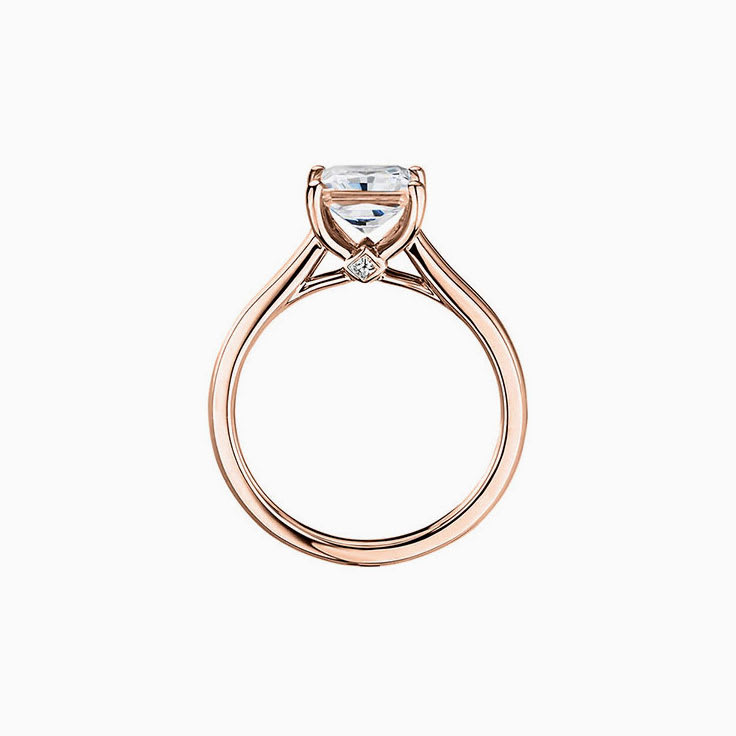 Princess Cut lab Diamond Engagement Band