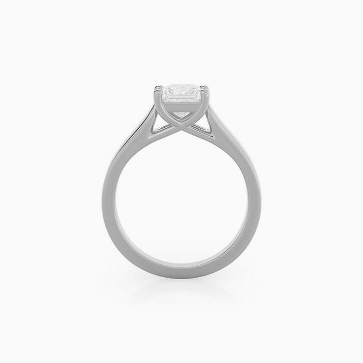 Lab Diamond Princess Cut Engagement Ring