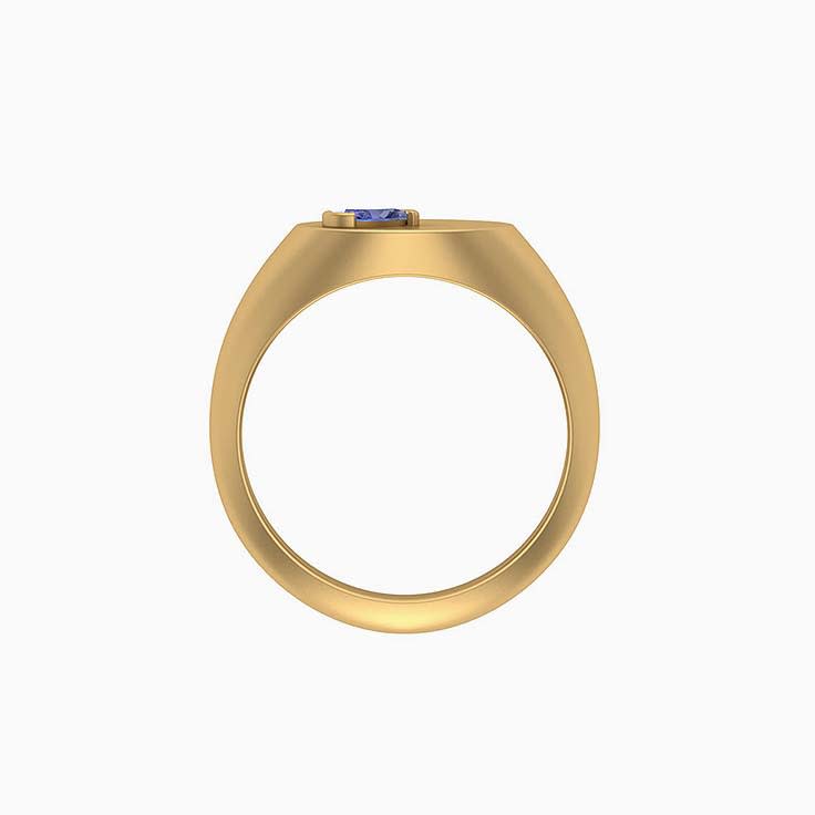 Birthstone signet ring