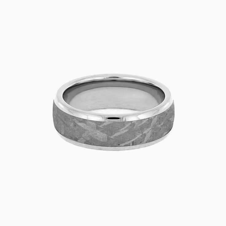 Mens Gibeon Meteorite Wedding Band in Titanium