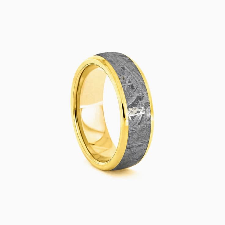 Gibeon Meteorite in Gold